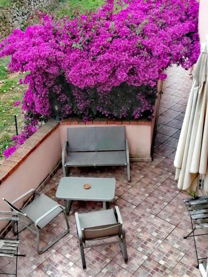 B&B Il Girasole ฟีนาเลลีกูเร ภายนอก รูปภาพ