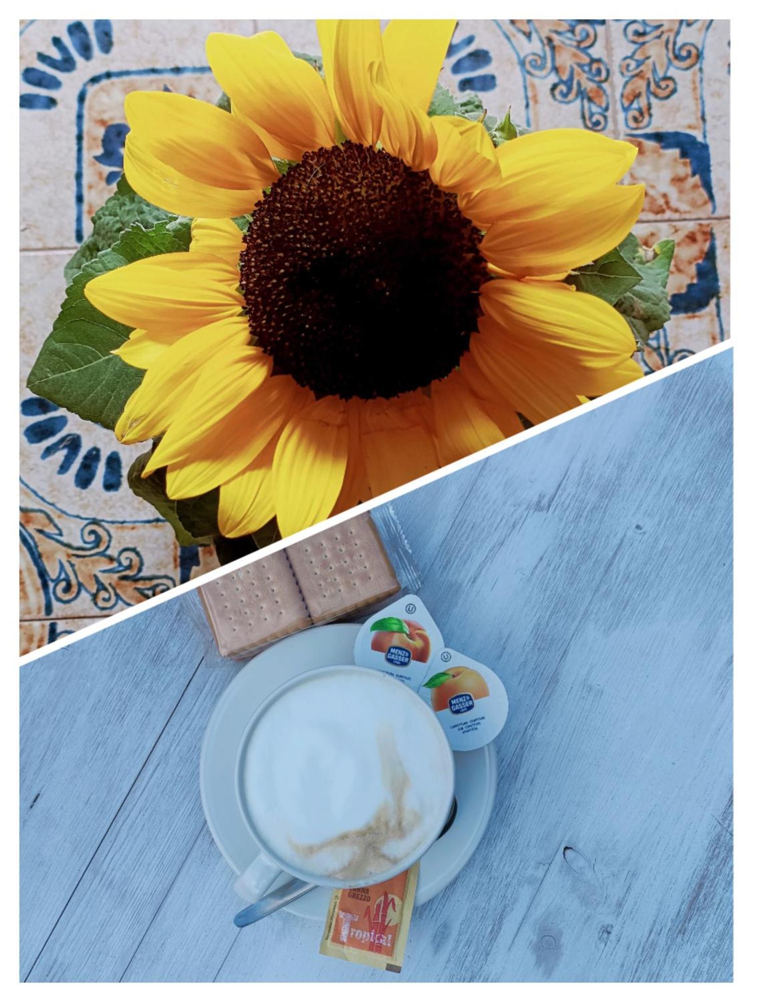 B&B Il Girasole ฟีนาเลลีกูเร ภายนอก รูปภาพ